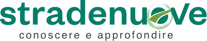 https://www.zum55.it/es/wp-content/uploads/sites/3/2022/07/strade-nuove-trasp.png